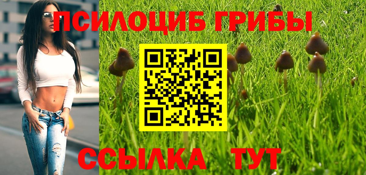 Псилоцибиновые грибы Cubensis Шуя