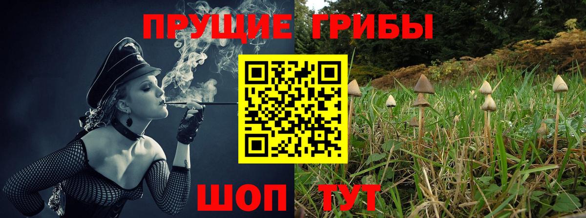 Галлюциногенные грибы ЛСД  Галлюциногенные грибы MAGIC MUSHROOMS  Вход с VPN  цена   Шуя 